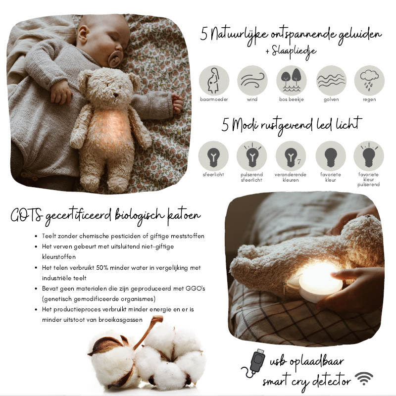 The Humming Bear Sand