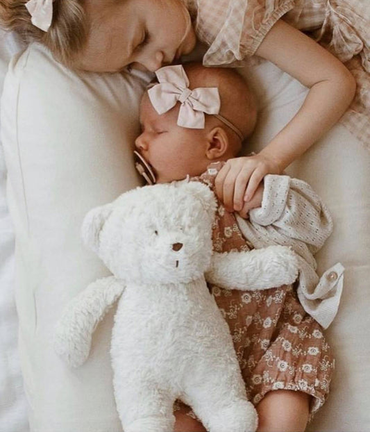 The Humming Bear Polar