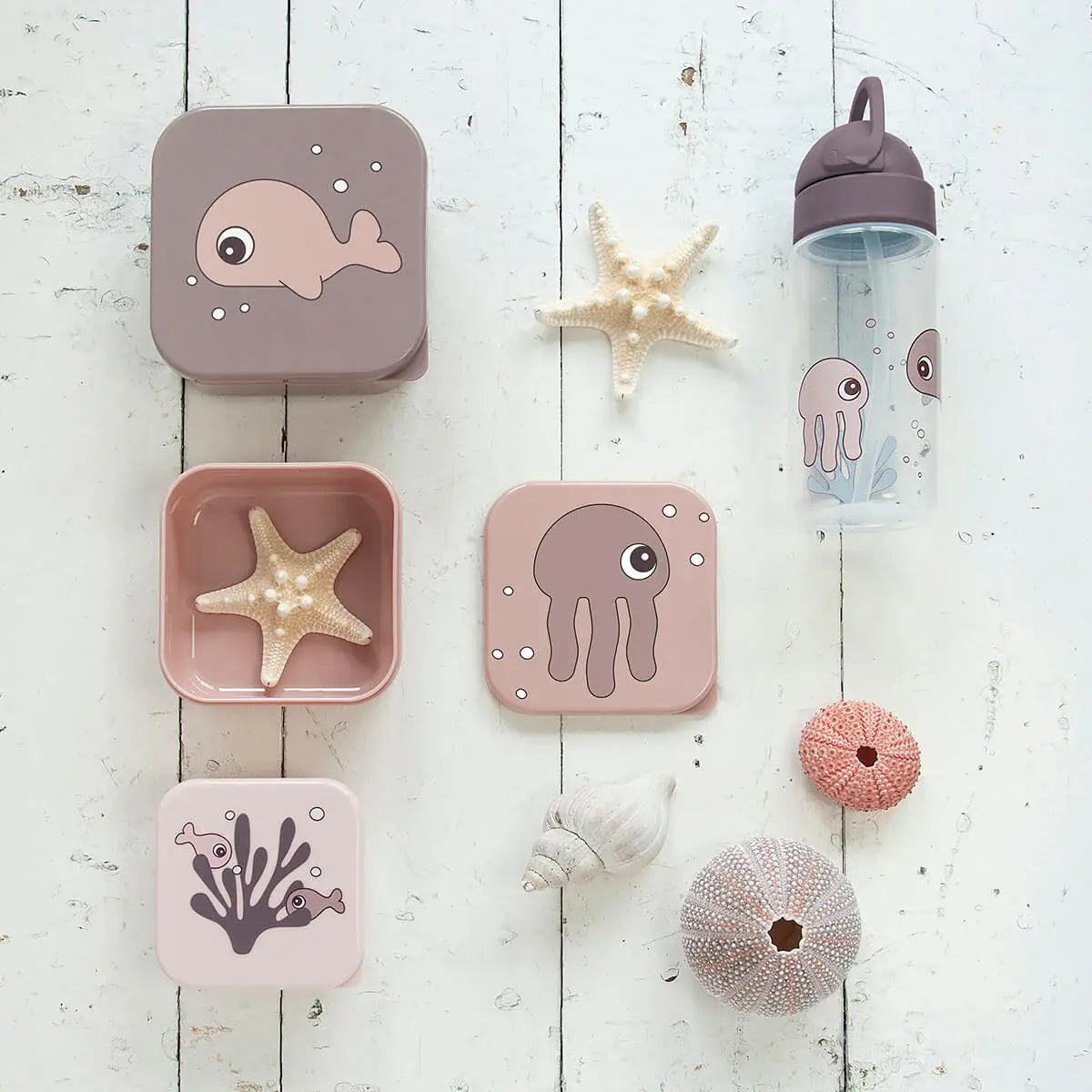 Snack Box Sea friends - Powder