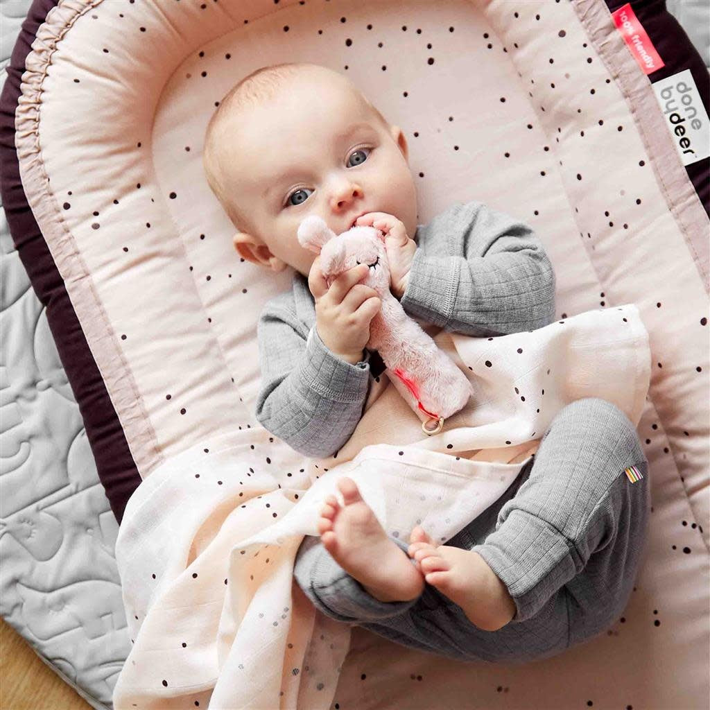 Squeaker rattle Raffi - Powder