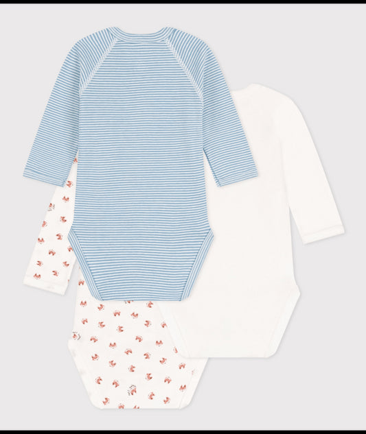 Body (3-pack) Little Fox