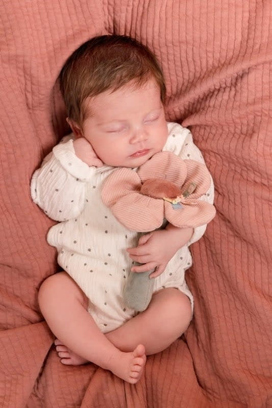 Rammelaar Flowers & Butterflies