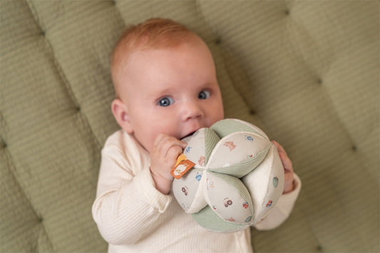 Grijpbal Little Farm