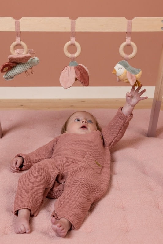 Babygym Flowers & Butterflies