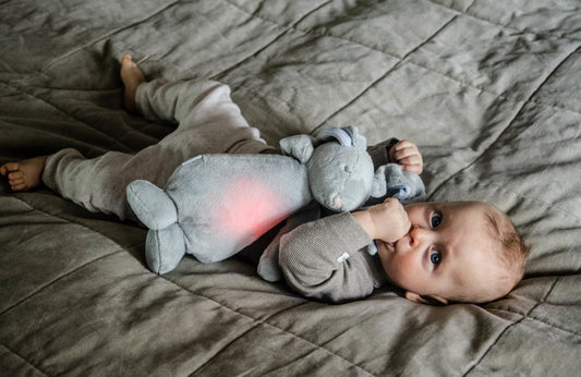 The Humming Friend Sky