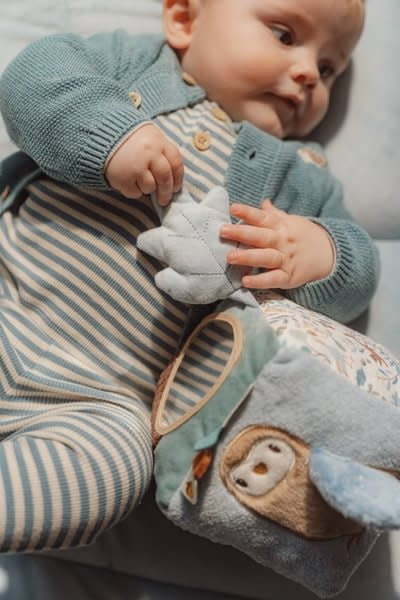 Activiteitenkubus Forest Friends