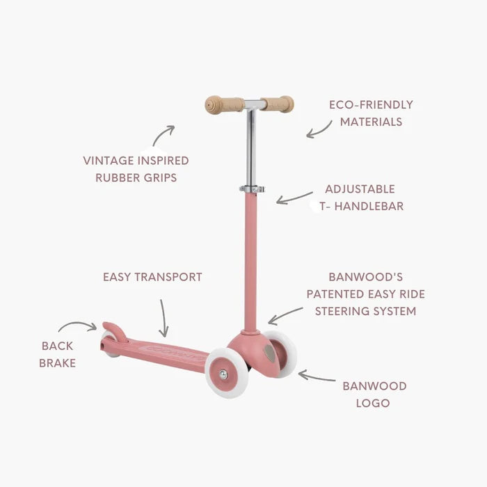 Eco Scooter - Raspberry