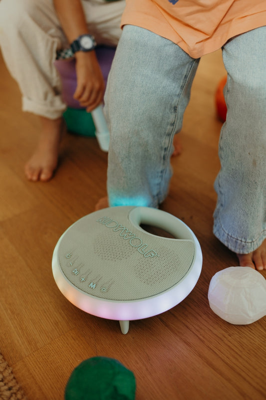 Kidykaraoke - Karoake luidspreker met 2 microfoons