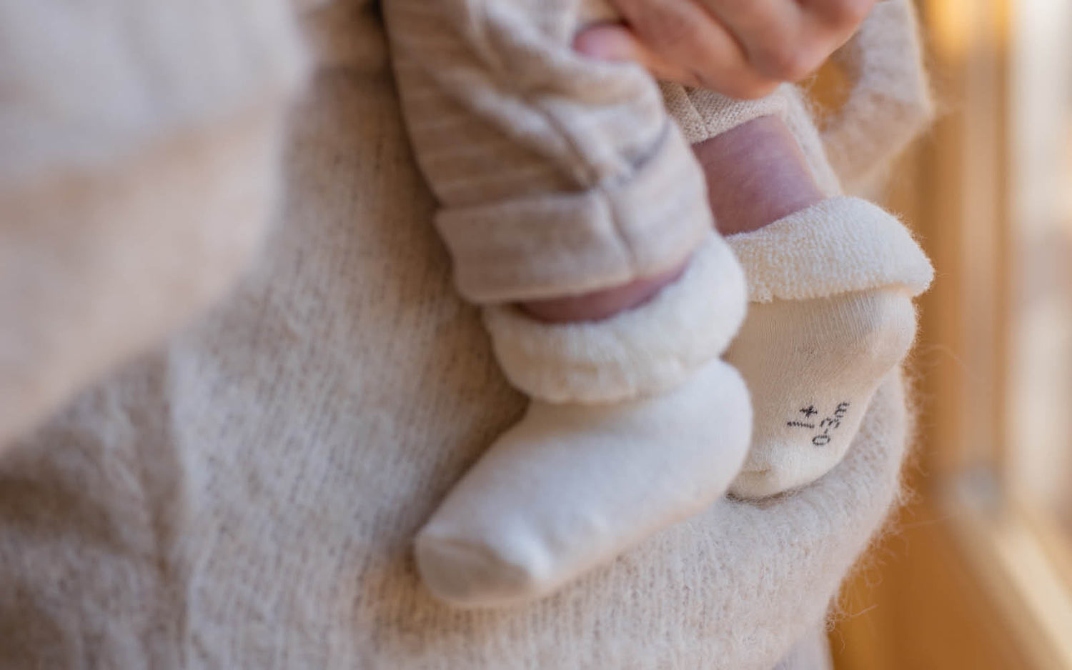 One more in the family