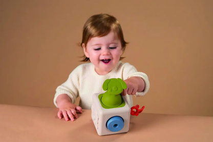 Peek & Play Silicone Cube