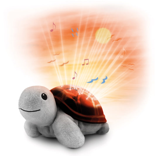 Sunset Projector - Tim Turtle