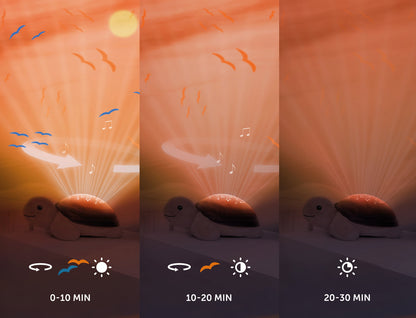 Sunset Projector - Tim Turtle