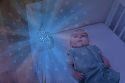 Wally Light Projector - Grey