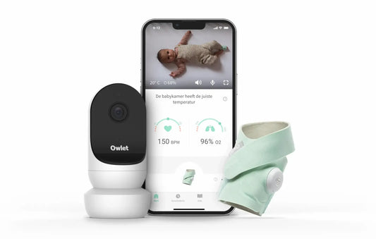 Owlet Duo