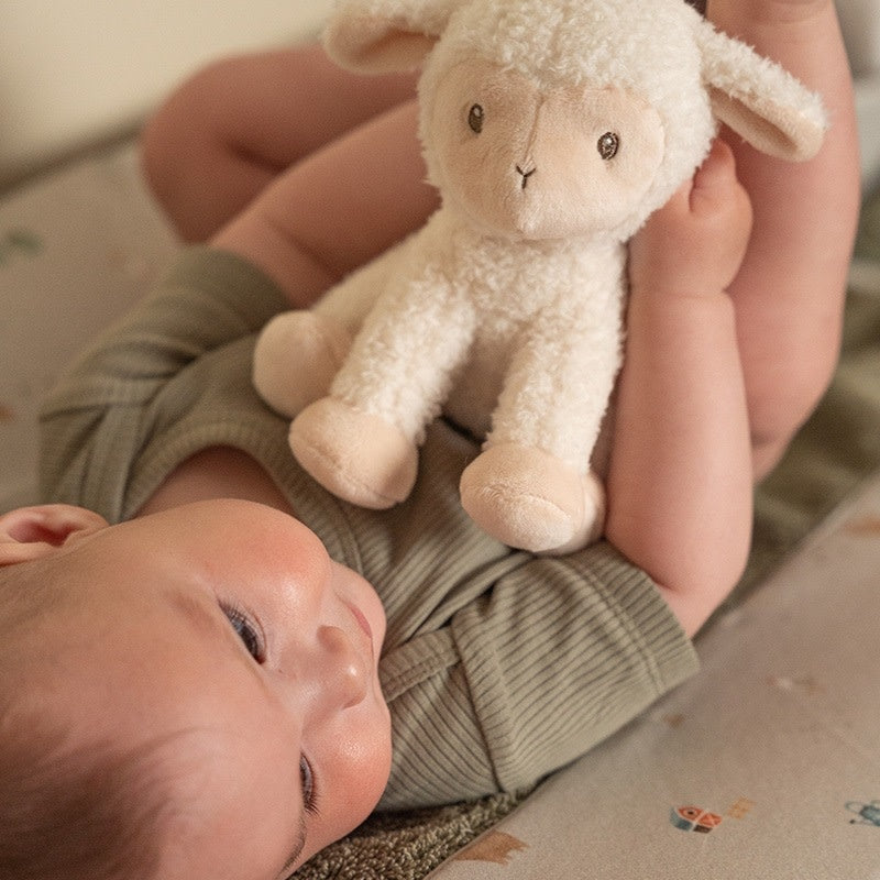 Knuffel Schaap 17cm Little Farm