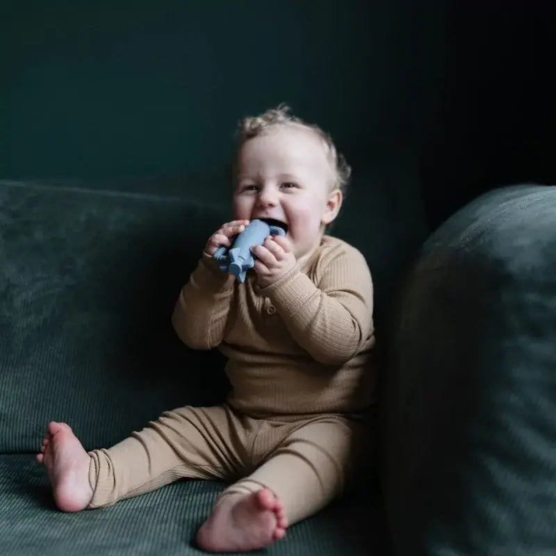 Rattle Rocket Teether