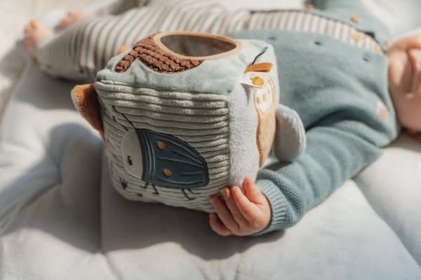 Activiteitenkubus Forest Friends