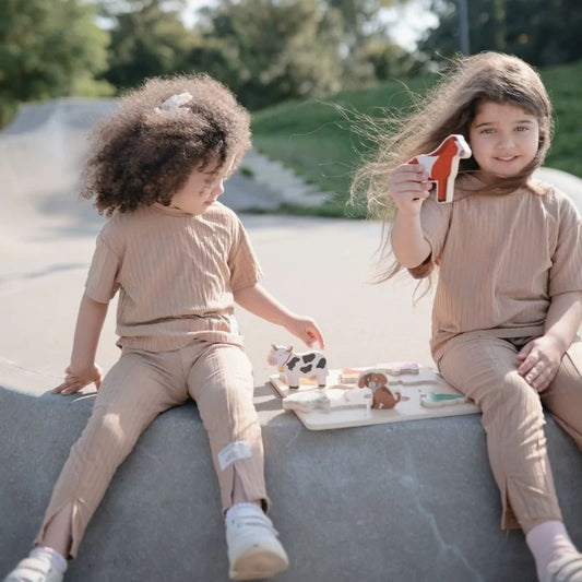 Houten Puzzel - Farm