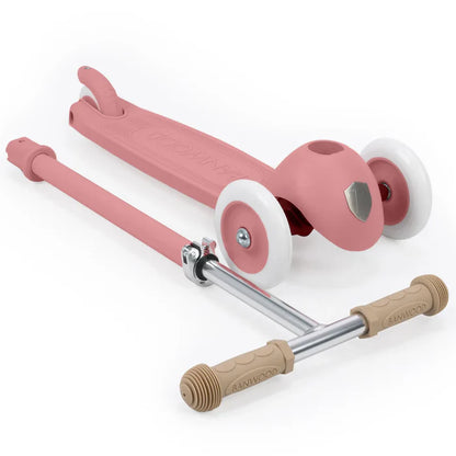 Eco Scooter - Raspberry