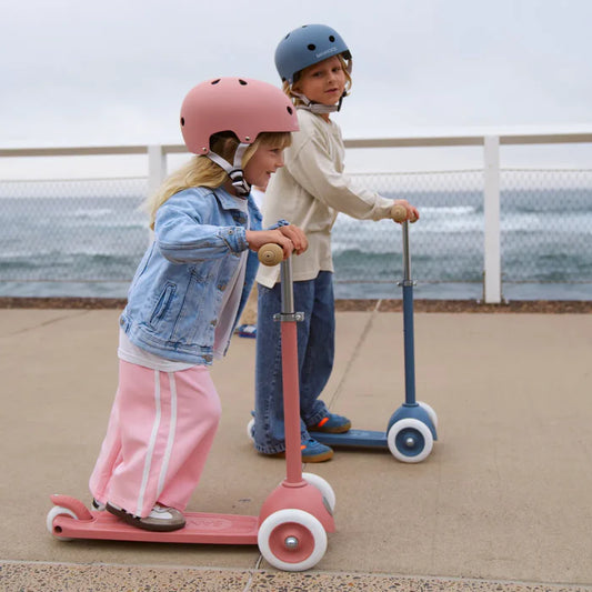 Eco Scooter - Raspberry