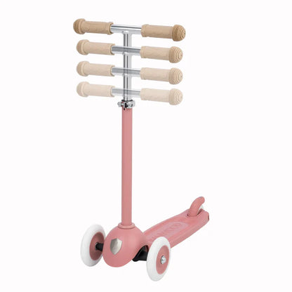 Eco Scooter - Raspberry