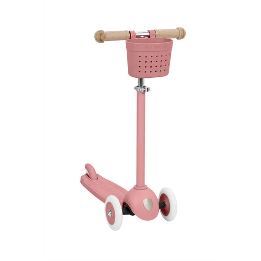 Eco Scooter - Raspberry