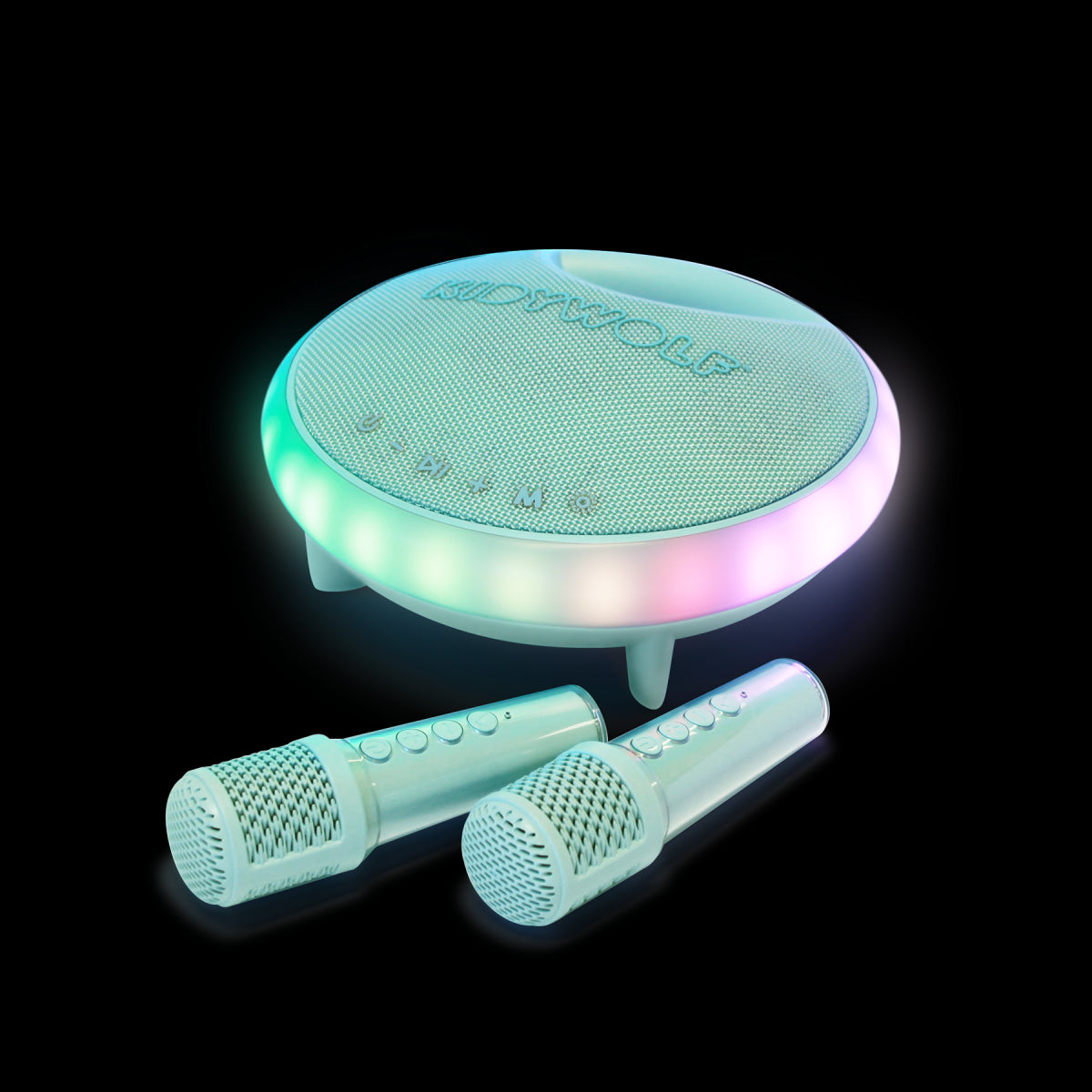 Kidykaraoke - Karoake luidspreker met 2 microfoons