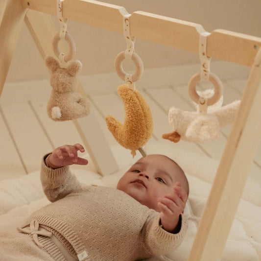 Babygym Newborn Naturals