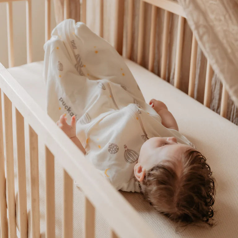 Mini 3/6 M - Cotton - Balloons