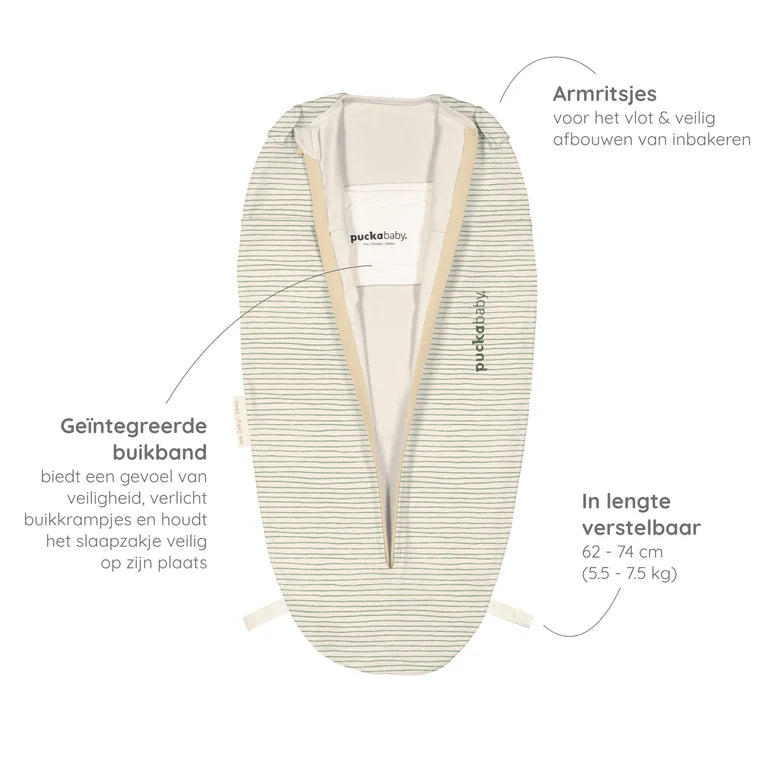 Mini 3/6 M - Cotton - Green Stripes