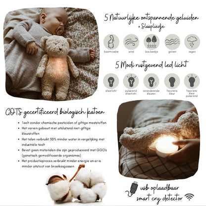 The Humming Seal Sand