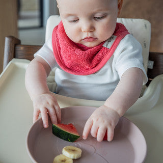Bandana Bib 36x20cm - Raspberry Rose